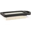 Briggs & Stratton Briggs and Stratton 794422 - Cartuccia filtro aria