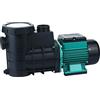 AquaOne HZS-750 - Pompa di circolazione per piscina, 750 Watt, 14500 l/h, per piscina
