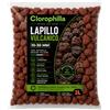 CLOROPHILLA Lapillo Vulcanico 10-30 mm per Piante - Substrato Naturale Drenante e Aerante per Piante Grasse, Bonsai, Orto e Giardinaggio - Inerti Vulcanici di Alta Qualità 2l-6l-10l (2L)