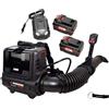 HEADNMORE® Bundle - Soffiatore per foglie a zaino PARKSIDE PERFORMANCE® 40V (batteria 2x4Ah) + portachiavi