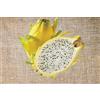 AMAZONSEEEDS 3 X PIANTA DI PITAYA GIALLA, 40-50 CM, FRUTTO DEL DRAGO,HYLOCEREUS MEGALANTHUS