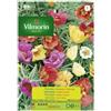 Vilmorin Kit 10 Pacchetti Semi PORTULACA SEMPLICE MISCUGLIO 186