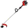 Generico DECESPUGLIATORE PROFESSIONALE EFCO DS 5300