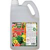 Antika Officina Botanika Rinverdente a base di ferro liquido a tripla azione, Nutre, Ravviva e Protegge da squilibri nutrizionali, stress di calore, carenza di ferro e ingiallimenti. Tanica da 5 kg (Tanica da 5 kg)