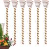 Generico Pali impianti elettrocoltura 6PC | Anelli in rame piante 21cm | Anelli rames tensore supporto impianti elettrocoltura | Antenne a spiral in rame pali giardino per la crescita frutta e verdura