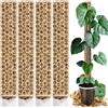 PlantScraper Tutore in Muschio XL per Monstera 4 Pezzi 63 x 9,5 cm - Supporto Estensibile e Set Accessori - Pali per Piante con Velcro e Substrato Speciale di Muschio - Ottimizzato per Aroidi
