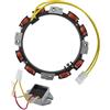 GUZIKO Alternatore 592830 Adatto per Tosaerba Briggs Stratton John D 96458 691064 393295 845907 394890 797375 393374 691185 JD GT235 LT166