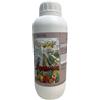 Vialca Nu-Cal Concime Calcio e Magnesio pomodori previene e Cura carenze di Calcio marciume apicale (LT. 1)