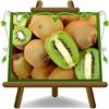 EURO PLANTS VIVAI Actinidia - Kiwi Impollinatore Maschio Tomuri pianta da frutto su vaso da 20 cm Altezza 150-170 cm