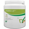 Bioges Ferro-up da 500 GR - Chelato di Ferro