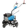 Motozappa Bertolini BT 205 S