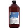 Davines Rebalancing Shampoo 1000ml