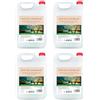 Intercabo - 4 taniche da 5 litri gel doccia e shampoo 2 in 1 - detergente corpo e capelli - fragranza tè bianco e Darjeeling - uso professionale per hotel, spa, B&B - 20 L totali