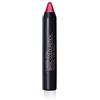 Camaleon Cosmetics - Rossetto Basic Colore Ciliegia Metallizzato - Vegano - 1 Unitá - 4gr