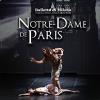 52733 Notre dame de Paris
