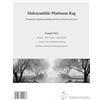 Hahnemühle Hahnemuhle Platinum Rag gr300 cm21.6x27.9cm 5 fogli