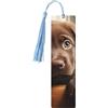 Tianbaozdp Simpatico cane labrador 1 segnalibro in legno per donne e uomini, con nappe, segnalibri da lettura per gli amanti dei libri, regali