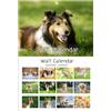 Generico Calendario per Cani 2026 | Pianificatore Creativo E | Calendario Da Muro Per Cani E Gatti | Per La Casa L'Ufficio La Pianificazione L'Organizzazione La Famiglia La Scuola Lo Studio Gli Amici