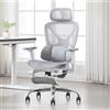 DAYALANE Sedia Ufficio, Sedia Scrivania Ergonomica, Poltrona Girevole con Supporto Lombare, Sedie Computer con Braccioli e Poggiatesta, Sedia Regolabile PC, Grigio