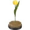 M METERXITY Flower Frog 3.74 Round Rame Supporto Floreale Pins Artigianato | Con Pins 1.1cm, Strumento Fissaggio Kenzan, Per Composizioni Floreali, Decorazione Casa, Porta Ikebana, Base In Gomma