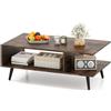 LIFEZEAL Tavolino Salotto, Tavolino Basso da Caffè, da Divano, a 2 Ripiani, con 2 Scomparti Aperti, Gambe in Metallo, Moderno, per Soggiorno, Montaggio Semplice, 80x45x30cm, Max 80kg (marrone)