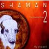 MG MUSIC Shaman 2 The Healing Drum