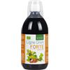 NATURA SERVICE Srl LIGNE DREN FORTE BIO SCIR500ML