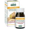 Dr Giorgini Integratore Alimentare, Monocomponenti Erbe Zenzero Estratto Titolato al 5% in Gingeroli Pastiglie - 30 g