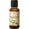 AROMATIKA trust the power of nature Olio Essenziale di Eucalipto 50 ml - Eucalyptus Globulus - Naturale e Puro - Olio essenziali per Diffusori - Profumi per la Casa - Saponi e Candele - Sauna - Aroma Eucalipto - Aromaterapia