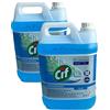 JaTop Cif - Detergente universale per vetri e finestre, 2 taniche da 5 l