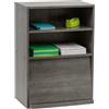 Iris Ohyama, Armadio con ante, Ripiano portaoggetti, 2 vani componibili, Design, Solido, Moderno, Multiuso, Ufficio, Camera da letto, Soggiorno, Flap Rack CHR-1, Rovere grigio