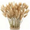 Generic 120 fiori secchi naturali di erba della pampa, fiori secchi da 43 cm, fiori secchi per decorazione, erba della pampa in massa alta, coda di coniglio, fiori secchi per matrimoni bohémien