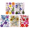 Gugxiom Fiori Pressati Secchi per Resina, 5 Sacchetti da 100 Fiori Pressati, 5 Temi Colorati Fiori Secchi per Nail Art, Resina, Design di Gioielli Fai da Te, Custodie per (Tipo 1)