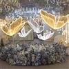 PixCy Lampada Da Terra a Farfalla per Matrimoni,Luci a Farfalla a LED, Lampada Da Soffitto a Farfalla Sospesa,Oggetti Di Scena Decorativi a Farfalla per Feste Matrimonio,Warm2pcs-100cm