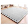 CASTLYE Tappeto per Bambini, in Velluto di Corallo, Tappeto Antiscivolo per la Camera dei Bambini, Tappeto per Salotto,Grigio Argento,120x200cm