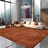 makeups58 Tappeto Moderno Soggiorno Grandi Dimensioni Salotto Cameretta Tappeti Marrone semplice nordico 140 x 200 cm (4'6''x6'6'')