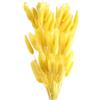 ROOBZE Pampas decorative Rabbittail fiori secchi decorativi 50 pezzi Count Natural fiori secchi decorativi Bouquet, Decorazione camera da letto fiori secchi Indoor Wedding Home Decor (Giallo)