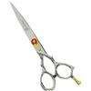Gifaz Forbici Parrucchiere Professionali Made in Italy per Taglio in Acciaio Inox