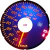SuperSpokeGuard.com 22'' Copriraggi per ruota carrozzina disabili A-029 (coppia)