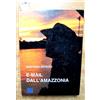 Dellisanti E-mail dall'Amazzonia