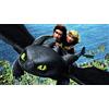 PARTYLANDIA Cialda In Ostia How Train Your Dragon Cartoni Torta Dischi Commestibile
