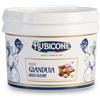 Rubicone pasta gianduia 3 kg per gelato