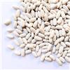 Il Contadino - Antichi Sapori FAGIOLI CANNELLINI ITALIA BIO | Il Contadino | Legumi Secchi (400g)