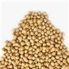 Il Contadino - Antichi Sapori CECI ITALIA | Il Contadino | Legumi Secchi (5 Kg)