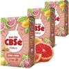 Yerbox CBSé Yerba Mate Tè Il Pompelmo 1.5kg (500g x 3) + Campione Regalo (40g) Ricco di antiossidanti, vitamine, accelera il metabolismo, senza zucchero | Argentina