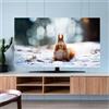 Hixingo Copertura TV Antipolvere, Paesaggio Copri Televisore Copertura Televisore Cover TV Copri TV Protezione TV Universale Elastica Custodia Protettiva TV (55inch,Scoiattolo)