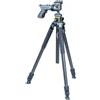 Vanguard Alta Pro 2+ 263CGHT - Treppiede in carbonio per Dslr, colore: Nero/Grigio
