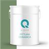 Q-COVER Pittura Ceramica 10L (circa 70m²) Colore Verde Scuro Vernice da Parete per Interni Lavabile Classe 1 Finitura Opaca Vernice per Soffitto Resistente alla Pulizia Cucina Bagno Scale Ceramica