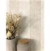 Newroom carta da parati TNT beige righe effetto cemento soggiorno | tono sabbia caldo cremoso, opaca aspetto vissuto, senza raccordo, carta da parati camera da letto, stile naturale, corridoio