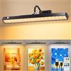 ceshu Lampada Da Parete Ricaricabile Senza Fili Per Quadri, 6000 Mah Batteria, Luci Led Applique Con 3 Temperature Di Colore, Telecomando, Lampada Da Parete A Batteria Per Quadri, Freccette, Gallerie D'Arte